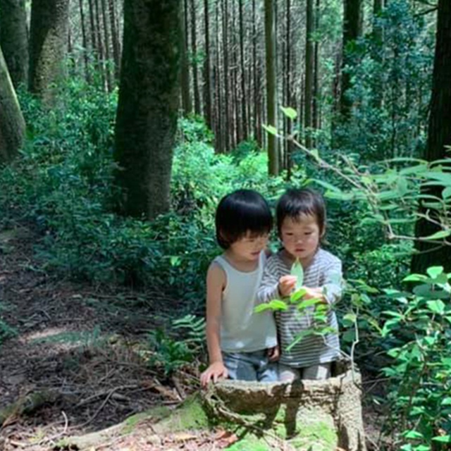 こけむす埼玉